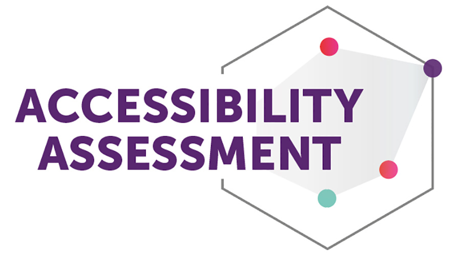 The words Accessibility Assessment, next to a hexagonal radar chart with coloured points on it